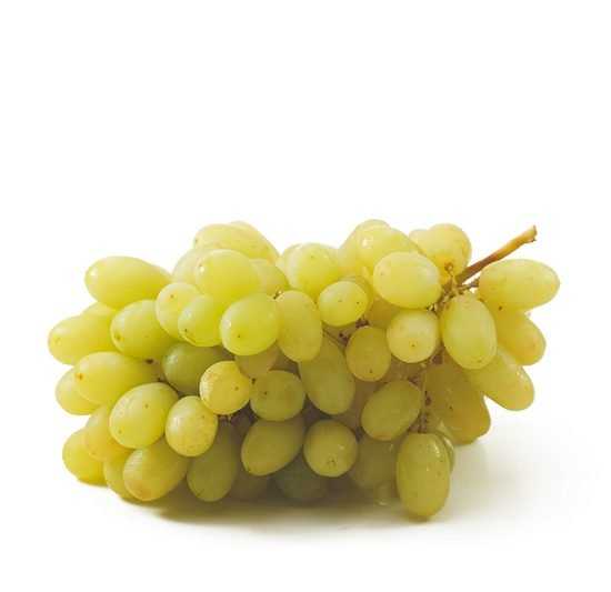Grapes S/L Green