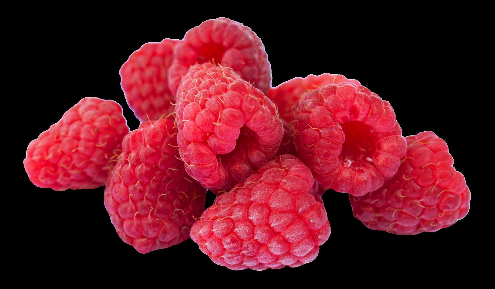 Raspberry